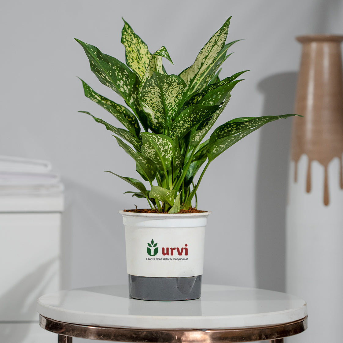 urviplants
